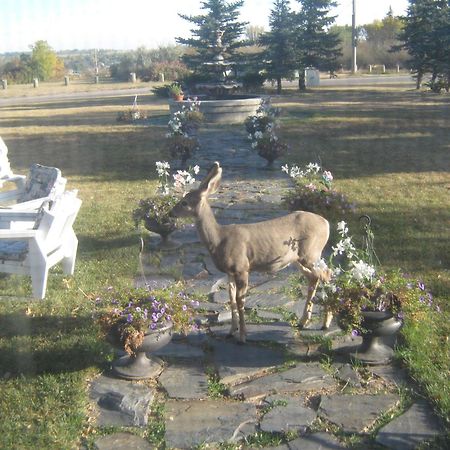 Wakamow Heights Bed&Breakfast Moose Jaw Exterior foto